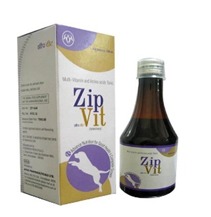 Zip-Vit Syrup